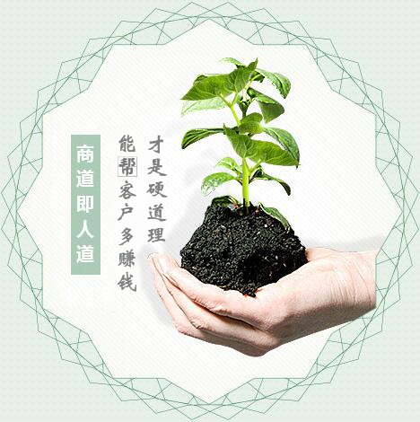 蔬菜種子經(jīng)營，商道即人道