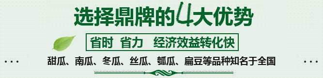 購買蔬菜種子，選擇鼎牌的四大優(yōu)勢