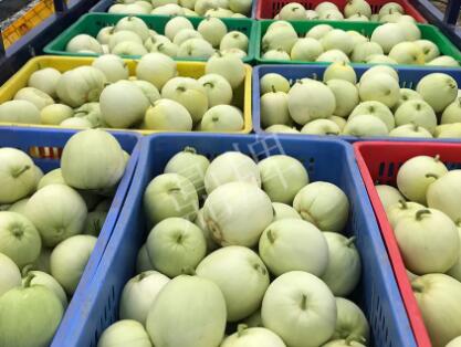 蔬菜種子種植戶客戶點評-5元1斤，這個新品種真香甜！