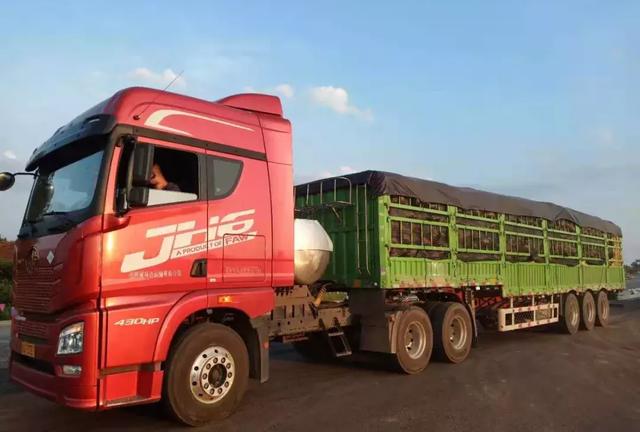 種南瓜竟然種出“麻煩”了，瓜販搶購(gòu)，電視臺(tái)記者也趕來(lái)了