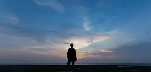 雇工難、成本高，想種甜瓜怎么辦？