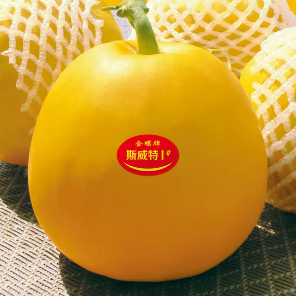 薄皮甜瓜，哪個(gè)品種最好呢？畝產(chǎn)高達(dá)10萬(wàn)，附4種市場(chǎng)爆款品種