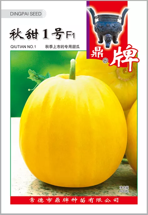 高溫季節(jié)種植甜瓜，什么品種最好？這個(gè)品種是秋季上市的專(zhuān)用品種