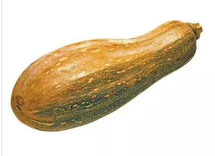 知道最甜最面的南瓜品種嗎？盤點十種有營養(yǎng)的甜面南瓜...