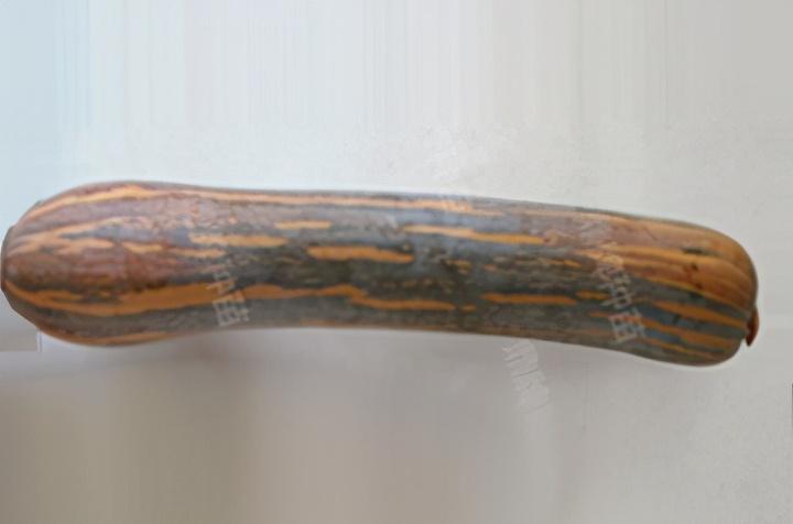 2020年，市面上的南瓜品種哪個口感最好、最甜、最值得種植？