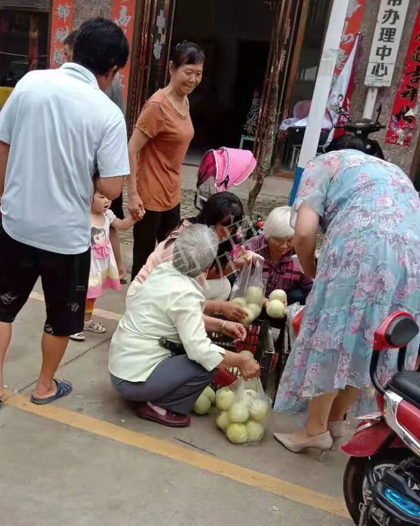 其他品種的甜瓜2塊1斤都賣不動，我的玉奶香2號甜瓜2塊5直接搶