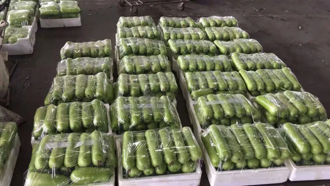 這個(gè)品種上市早，價(jià)格好！我連續(xù)種了三年，滿意