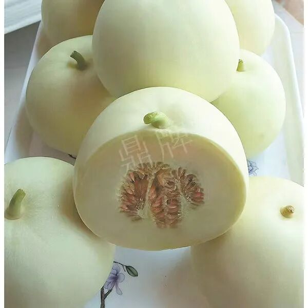 蔬菜種子種植戶種植心得-這個品種幫我留一些，4月份我們當(dāng)?shù)剡€要種一批