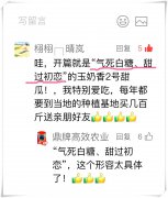 蔬菜種子種植戶客戶點(diǎn)評-“氣死白糖，甜過初戀”，您知道或體驗(yàn)過這句話嗎